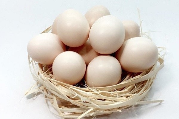 Bánh flan làm tại nhà không cần lò nướng