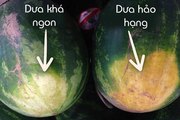 Bí quyết chọn dưa hấu tươi ngon mọng nước để làm nước ép