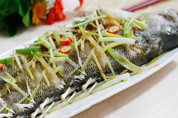3 Cách Nấu Cá Bớp Hấp Thơm Ngon Chuẩn Vị Gia Đình Cá bớp hấp hành gừng