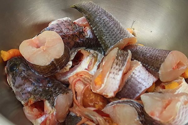 Cá lóc được cắt khoanh dày chuẩn bị cho món cá lóc kho tộ