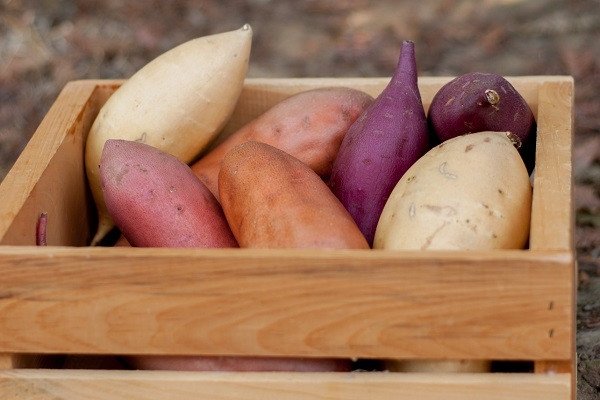 Các loại khoai chuẩn bị nấu chè bà ba Nam Bộ