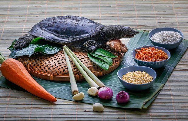 Các nguyên liệu tươi ngon chuẩn bị làm món ba ba rang muối hấp dẫn, gồm ba ba, sả, lá lốt và gia vị.