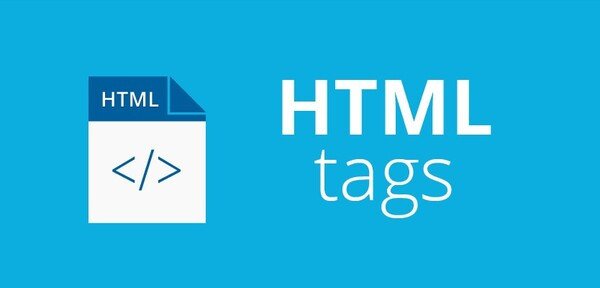 Các yếu tố cấu thành món ăn ngon