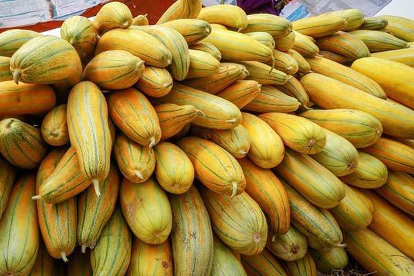 Cách chọn dưa gang chín ngon làm sinh tố