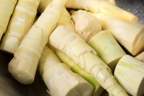 Cách chọn mua măng tươi ngon, chất lượng