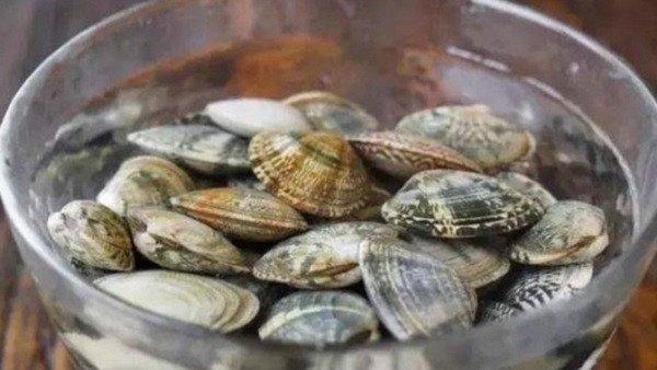 Cách ngâm ngao tươi sạch loại bỏ bùn đất hiệu quả