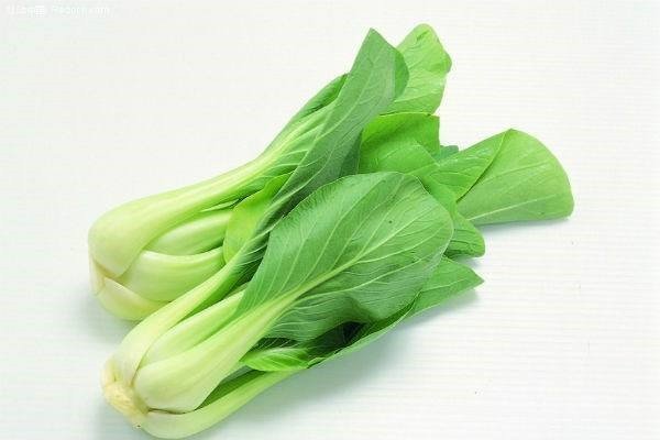 Cải thìa tươi ngon dùng làm mì xào giòn thập cẩm