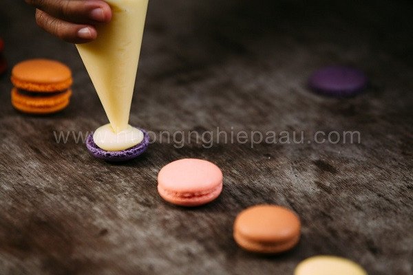 Cận cảnh vỏ bánh Macaron giòn xốp và lớp nhân kem mềm mịn