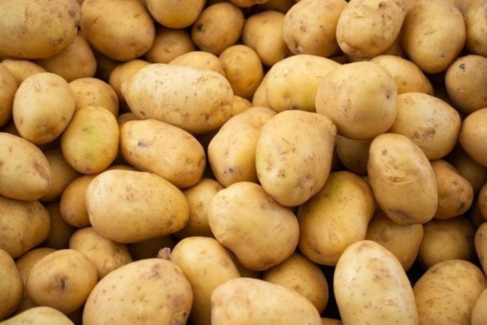 Chọn khoai tây tươi ngon làm snack khoai tây bằng nồi chiên không dầu