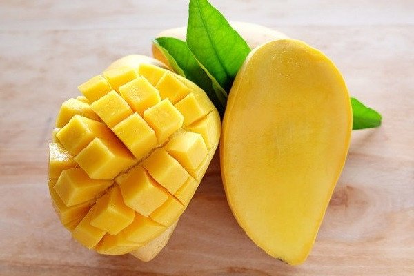 Chọn xoài chín vàng để làm pudding xoài ngon nhất