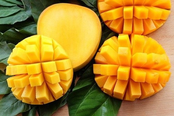 Chọn xoài chín vàng làm chè bột báng