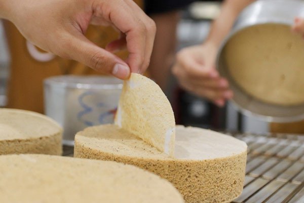 Cốt bánh bông lan trà sữa mềm xốp, thơm lừng sau khi nướng chuẩn, sẵn sàng cho lớp sốt kem