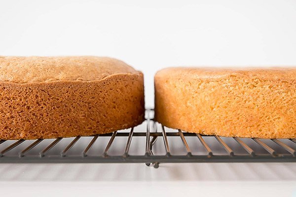 Cốt bánh bông lan vàng ươm, mềm xốp