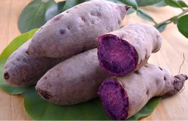 củ khoai lang tím tươi ngon để làm bánh
