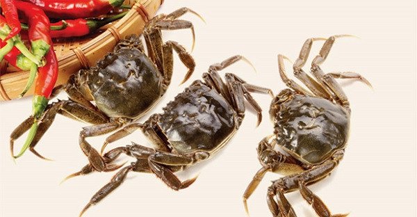 Cua đồng tươi ngon cho món lẩu riêu cua đậm đà