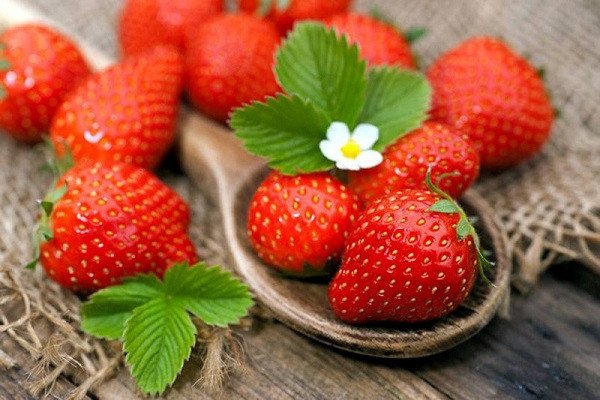 Dâu tây tươi, đỏ mọng, được rửa sạch, biểu tượng cho lợi ích dinh dưỡng tuyệt vời