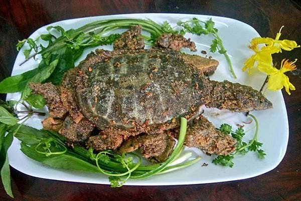 Đĩa baba rang muối vàng giòn, hấp dẫn với lớp muối phủ đều và rau thơm trang trí.