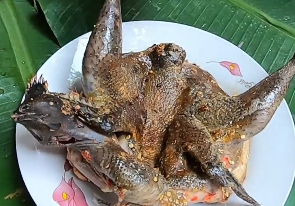 Gà ác nướng muối ớt vàng ruộm, da giòn, thơm lừng