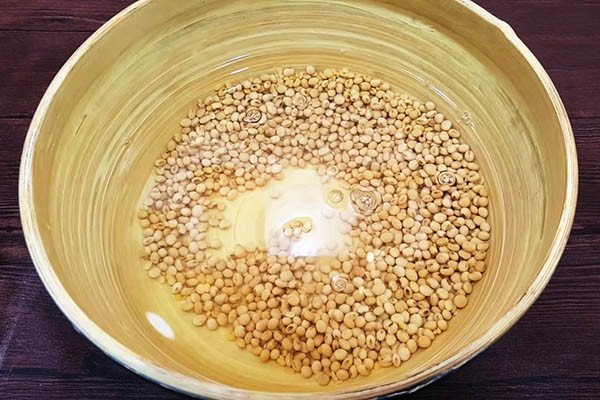Hạt đậu nành đang ngâm trong nước để chuẩn bị làm sữa tại nhà