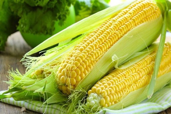 Hạt ngô tươi ngon mang lại nhiều lợi ích cho sức khỏe