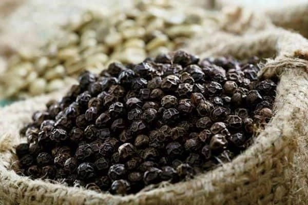 Cá Bống Kho Tiêu: Bí Quyết Nấu Đậm Đà, Thơm Ngon Chuẩn Vị Hạt tiêu sọ tươi dùng trong món cá bống kho tiêu