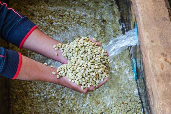 Hệ thống máy móc cho quy trình chế biến cà phê ướt