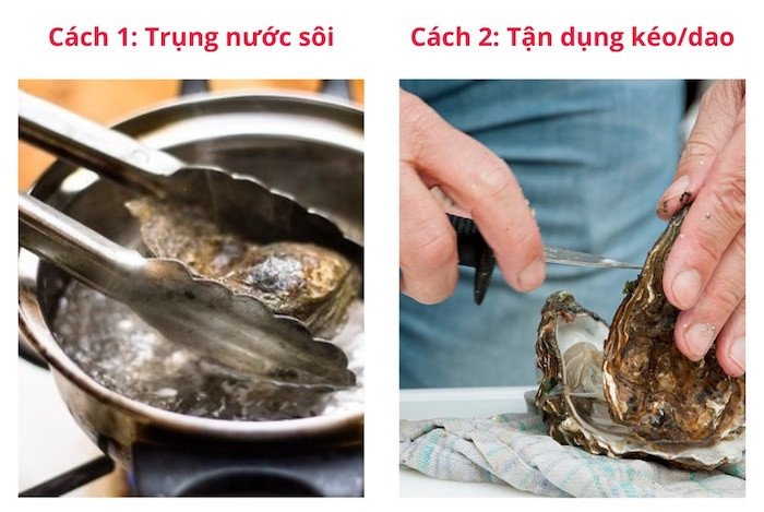 Hình ảnh minh họa hai cách tách vỏ hàu: trụng nước sôi và dùng dao chuyên dụng