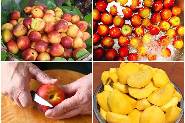 Hướng dẫn sơ chế đào để làm sinh tố chuẩn vị