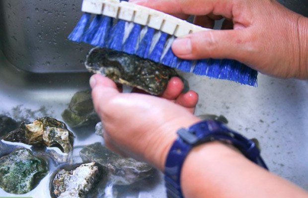 Hướng dẫn sơ chế hàu sống sạch sẽ bằng bàn chải