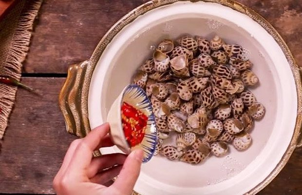 Hướng dẫn sơ chế ốc hương tươi ngon cho món lẩu