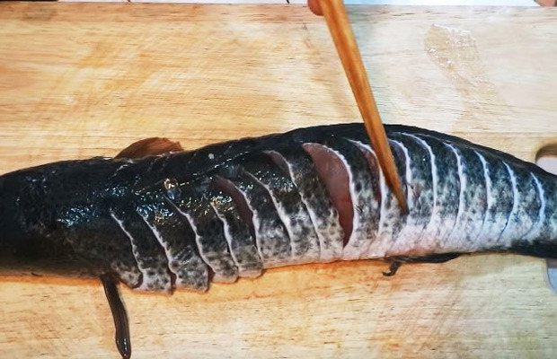 Khứa cá lóc để gia vị thấm đều khi hấp bia