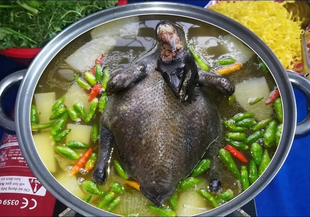Lẩu gà ác hầm thuốc bắc, món ăn bổ dưỡng
