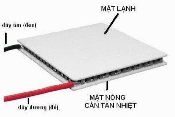 linh kiện sò nóng lạnh giúp bảo quản thực phẩm tươi ngon