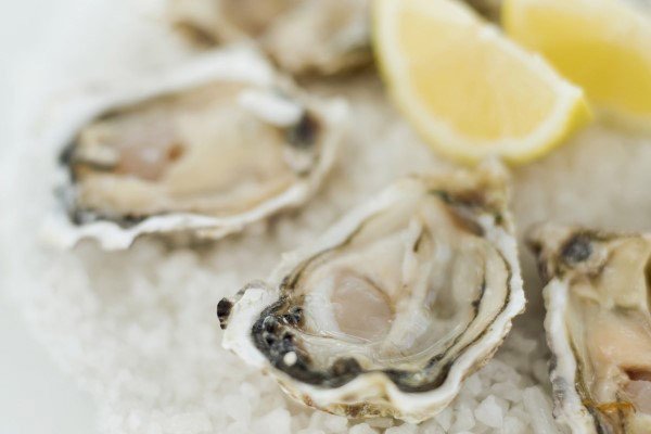 Lợi ích dinh dưỡng của hàu
