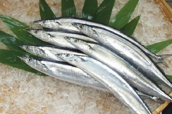 Mẹo chọn cá thu Nhật tươi ngon, mắt trong, da sáng để kho cà chua chuẩn vị
