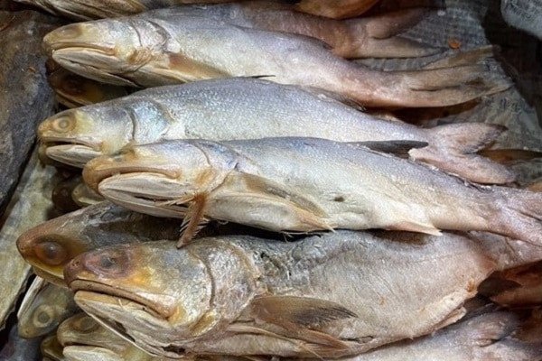Món cơm chiên cá mặn tơi xốp, hạt cơm vàng ươm