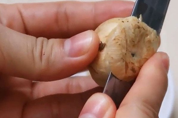 Nấm rơm đã sơ chế sạch sẽ để nấu súp cua óc heo