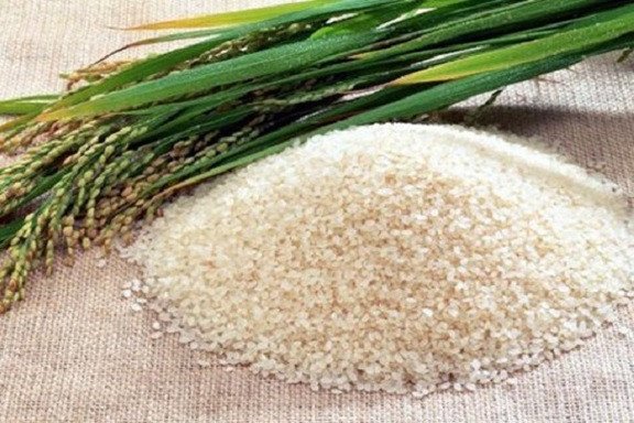 Nếp nương dẻo thơm thích hợp làm xôi bọc gà bó xôi