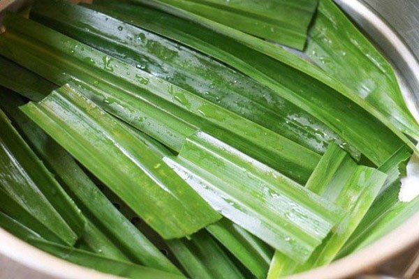 Người đang bó lá dứa sạch