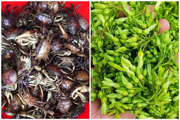 Nguyên liệu cua đồng cho món canh hoa thiên lý
