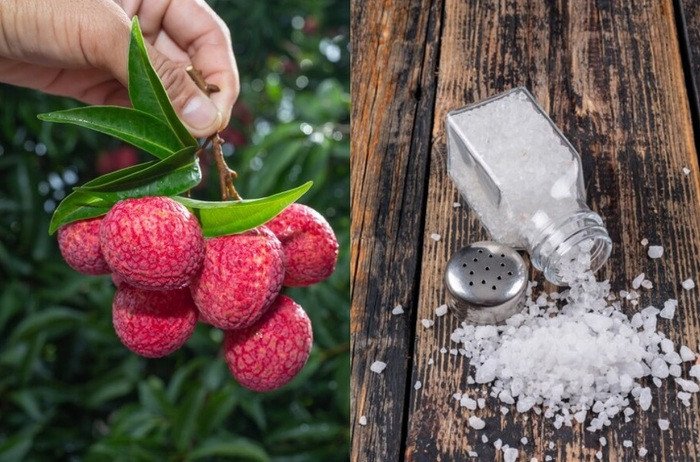 Nguyên liệu làm vải sấy đơn giản