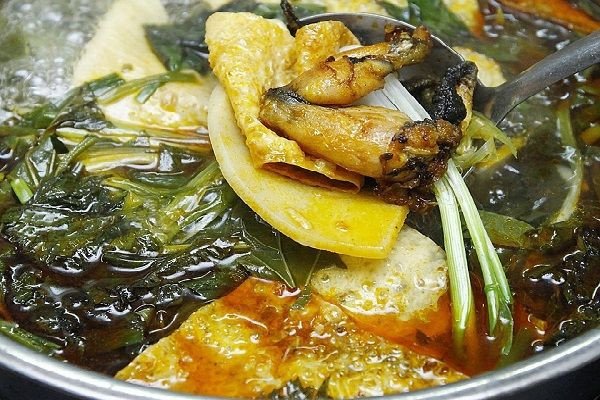 Bí Quyết Nấu Lẩu Ếch Chuẩn Vị Thơm Ngon Hấp Dẫn Tại Nhà Nguyên liệu lẩu ếch măng chua