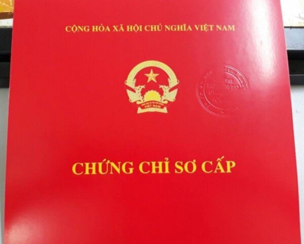 Nguyên liệu tươi ngon cho món ăn chuẩn vị