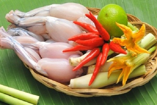 Nguyên liệu tươi ngon để làm món ếch xào sả ớt và ếch xào sa tế