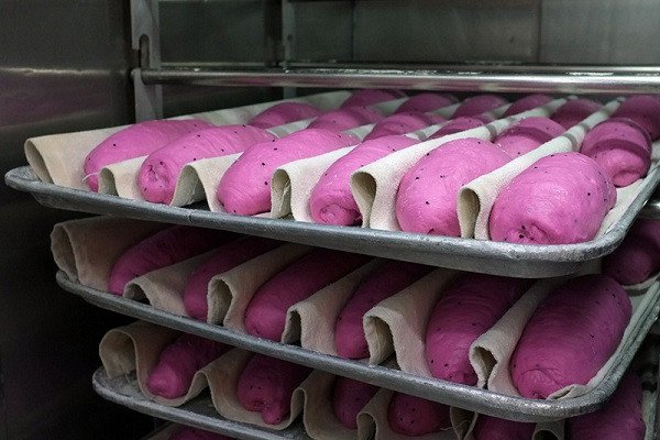 Những chiếc bánh mì thanh long vàng óng vừa ra lò