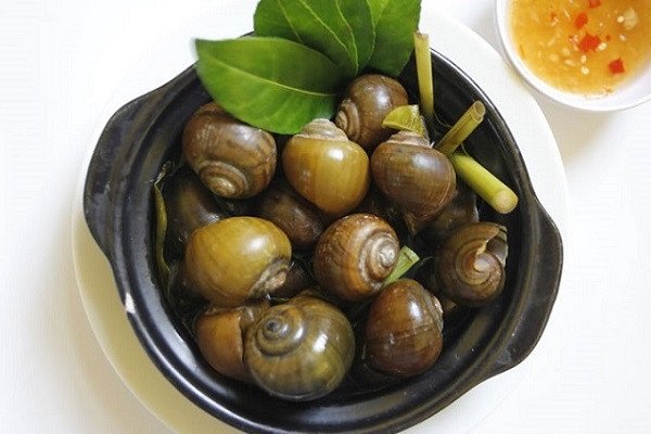 Nồi lẩu ốc bươu nước dừa tươi thanh mát, hấp dẫn