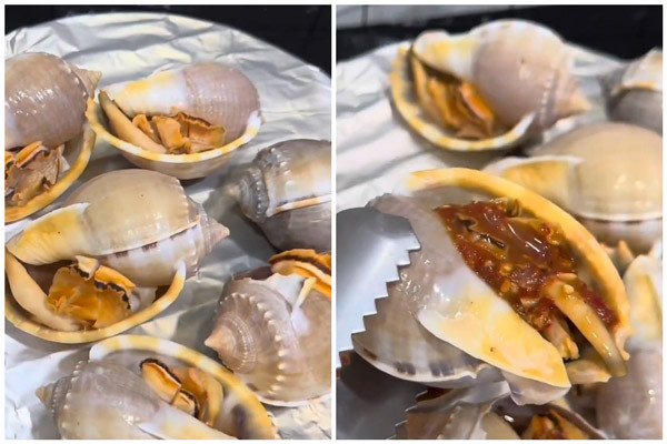Nướng ốc tỏi bằng bếp từ hoặc lò nướng đều mang lại hương vị thơm ngon