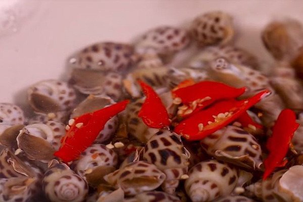 Ốc hương tươi sống đang được ngâm trong thau nước muối và ớt để làm sạch