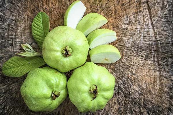 Ổi xanh tươi ngon dùng để làm nước ép ổi