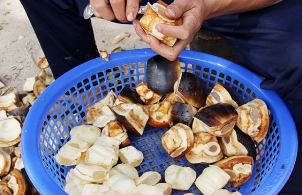 Quá trình tách vỏ lấy cơm thốt nốt tươi làm bánh bò